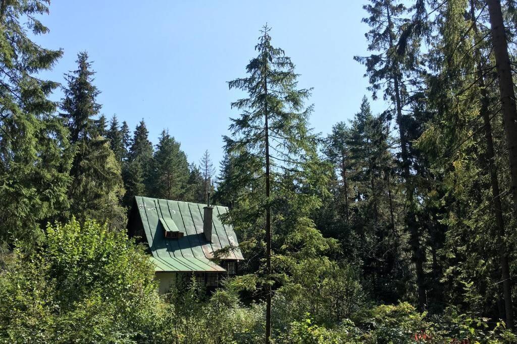 Enchanted Forest Chalet Татранска-Штрба Экстерьер фото
