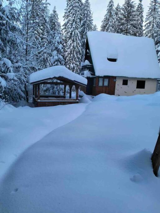 Enchanted Forest Chalet Татранска-Штрба Экстерьер фото