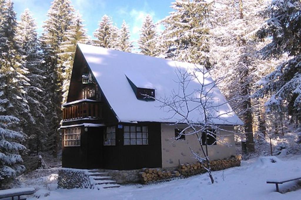 Enchanted Forest Chalet Татранска-Штрба Экстерьер фото